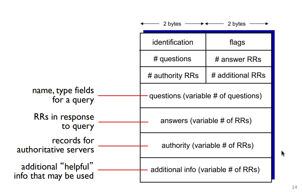 dns_msg2